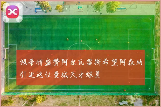 佩蒂特盛赞阿尔瓦雷斯希望阿森纳引进这位曼城天才球员